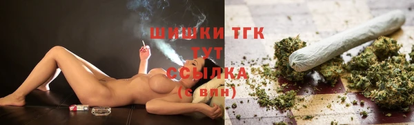 apvp Ельня
