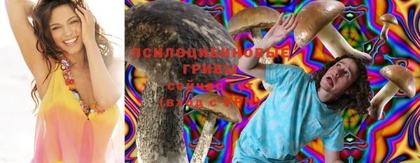 apvp Ельня