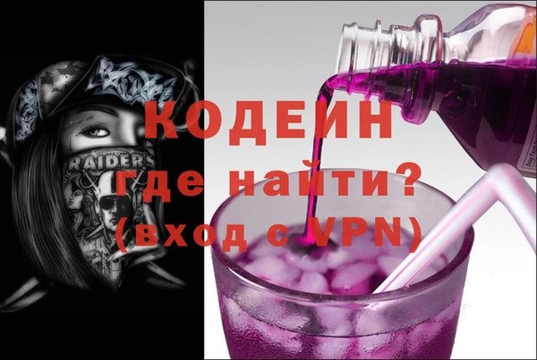 мдпв Заводоуковск